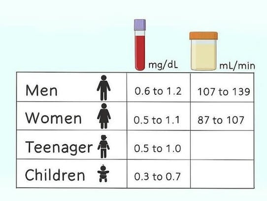 ayurvedic-medicine-for-creatinine